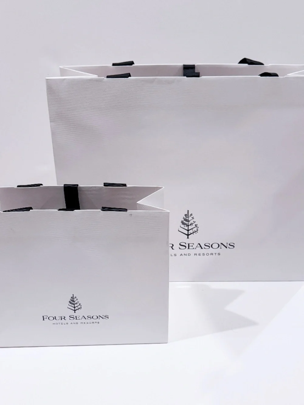 Four Seasons Hotels & Resorts Gift Bags Set of 2